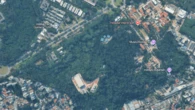 Para ampliar vacinas, Butantan prevê derrubar 6.600 árvores em São Paulo
