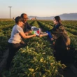 Filha de agricultores se forma e viraliza com ensaio em homenagem aos pais