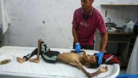Brasil acusa Israel na Corte de Haia de cometer genocídio em Gaza Jamil Chade