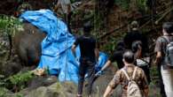 Após chuva torrencial, onda arrasta e mata elefanta rara em zoo de Bali