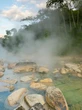Rio fervente na Amazônia chega a quase 100ºC e cozinha animais vivos