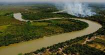 Governador de MT autoriza pecuária em área protegida do pantanal