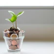 Grana Sem Drama: 3 formas práticas para começar a investir ainda esse mês