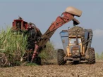 Como novos investimentos chineses moldam o futuro do agro brasileiro