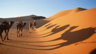 Cidade no Saara bate recorde de calor em agosto com quase 50° C