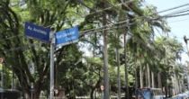 Campinas: poda de árvore interdita ruas no entorno da praça Carlos Gomes neste sábado (3)