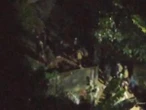 Vídeo mostra fuga armada de membros do CV do CE durante operação na Rocinha Carlos Madeiro