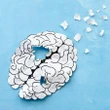 Não existe comprovação de que ivermectina atue contra Alzheimer em humanos