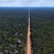 Agro tem votos para licenciamento ambiental, mas dá como certa ida ao STF