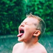 Longe de ser limpinha: por que água da chuva não é segura para você beber