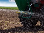 Guerra entre Israel e Irã afeta preço dos fertilizantes e safra 2025/26 Mariana Grilli
