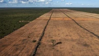 Violência cresce no Cerrado e atinge comunidades indígenas e quilombolas Flávio VM Costa