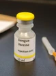 Qdenga: Índia aprova pela primeira vez o uso de vacina contra a dengue