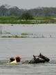 La Niña chega mais fraca, mas pode gerar furacões no Atlântico e Pacífico