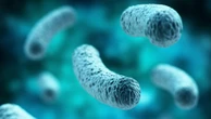 Infecções por superbactérias 'intratáveis' crescem 460% nos EUA em 4 anos