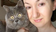 Gatinha 'eternamente assustada' faz sucesso na internet; entenda