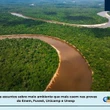 Meio ambiente: veja assuntos que caem no Enem, Fuvest, Unicamp e Unesp