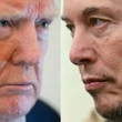 Após pedir desculpas, Musk volta a confrontar governo Trump publicamente Mariana Sanches