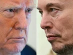 Carla: Lua de mel acabou, e amor entre Trump e Musk virou coisa assustadora