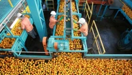 Agro contrata escritórios de lobby nos EUA para tentar negociar tarifas