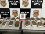 Polícia Civil apreende 15 tijolos de maconha dentro de um freezer