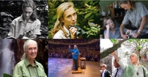 Jane Goodall: primatologista que morreu hoje foi homenageada por fotógrafas ambientais ao completar 90 anos