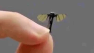 'Parecido com um mosquito': como é o novo minidrone militar da China