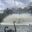 Gripe aviária: Juíza dá 48 horas para governo do RS explicar mortes em zoo