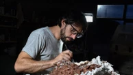 Esqueleto de dinossauro que viveu há 230 milhões de anos é achado na Argentina