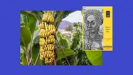 Lula na Reuters: parte da imprensa jogou o miolo e comeu a casca da banana Reinaldo Azevedo