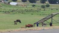 Clarens vrees feestyd sonder water