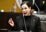 DA-LP Powell soek antwoorde oor intelligensieverslag oor haar