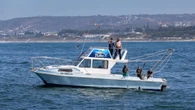 Kommer ná dood van gemerkte haai van Mosselbaai in KZN