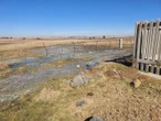 Rioolwater bedreig gesondheid, omgewing in Ngwathe – DA