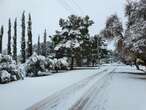 'It's so beautiful to see': Blanket of snow brings joy and warm memories to Northern Cape