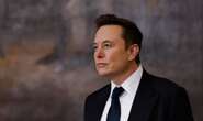 Expropriation Act saga: Musk claims - without qualifying - SA has 'openly racist ownership laws'