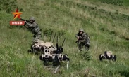 China spog met nuwe ‘wolf’-robotte wat troepe op slagveld kan vervang