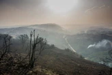 Blaam vir Knysna-brande van 2017 draai in hooggeregshof