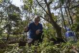 'Crazy' tree planter greening Sao Paulo concrete jungle