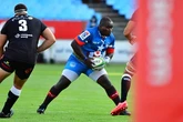 Experienced campaigners return for Bulls in Stormers derby