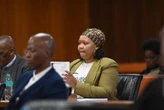 Magashule-saak: ‘Staat mislei hof oor assistent se uitlewering’