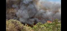 WATCH | Paarl Mountain fire contained after burning dangerously close to homes, private property