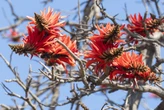 Trek jou tuinhandskoene aan – dis (amper) heerlike lente (in die Noorde)