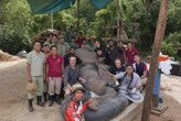 SA prof se olifant-operasie ’n historiese oomblik in Kambodja