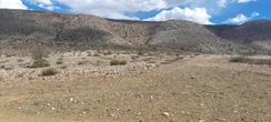 Droogte: ‘Noorsveld-boere voer stryd om oorlewing’; organisasie help met water, kos en voer