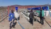 How government abandoned a multimillion-rand community dairy farm in Eastern Cape