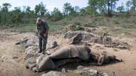 Former Kruger National Park rangers sentenced to 20 years in jail for involvement in rhino poaching