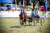 Nat en koud, maar gees bly goud op Senekal-skou