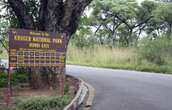 Kruger Park ranger survives buffalo attack by clinging onto its horns