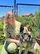 Sonde met die bure oor blaffende hond in Bloem